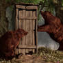 Bears Around The Outhouse