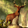 Showdown in the Forest