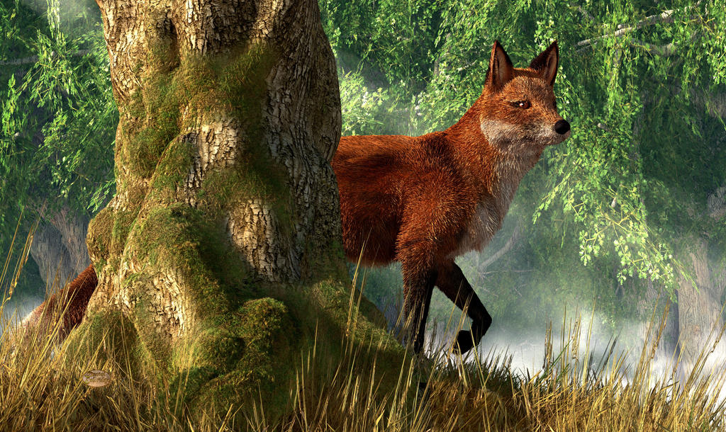 Forest Foxtale Fox in a Forest by deskridge on DeviantArt