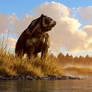 Short Faced Bear