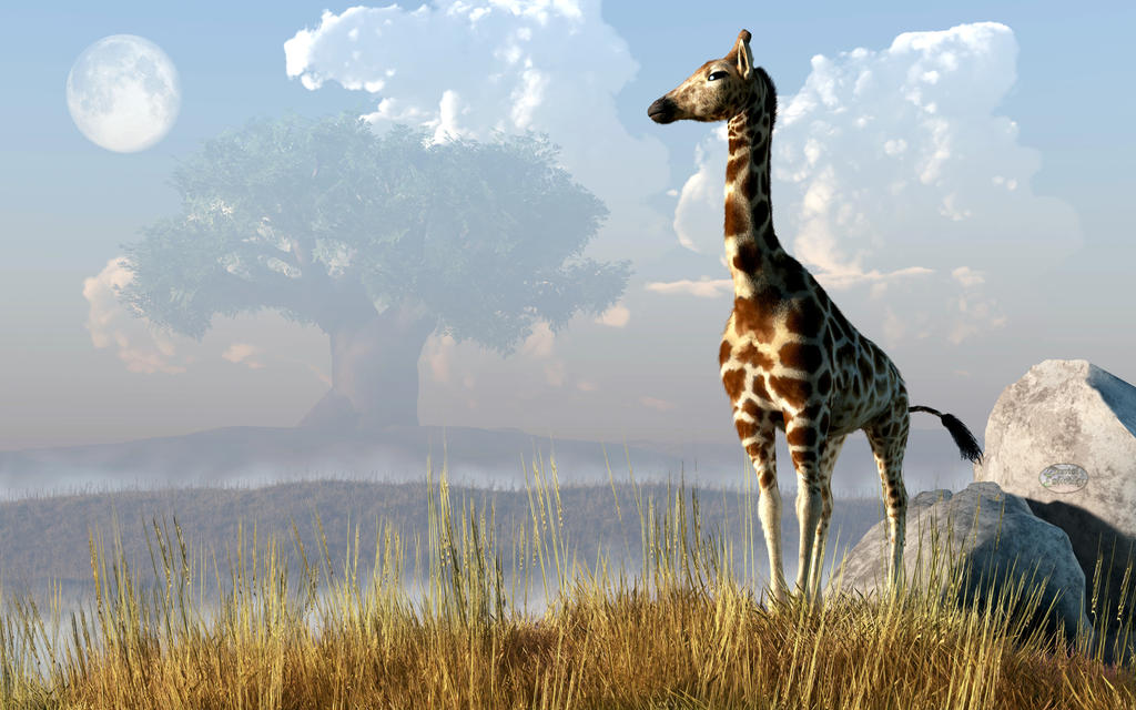 Giraffe and Giant Baobab
