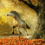 Mustang Autumn