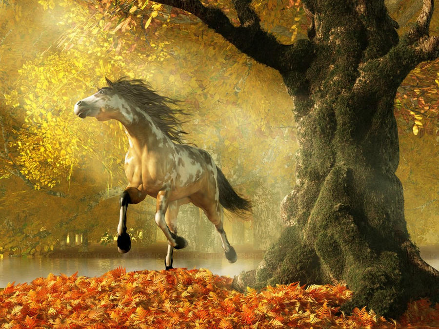 Mustang Autumn