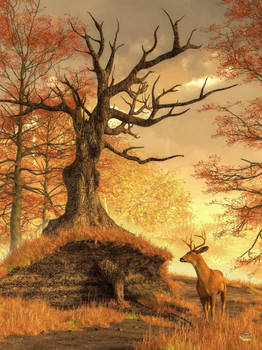 Autumn Stag