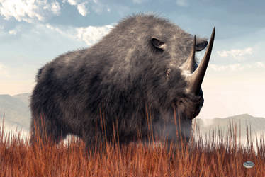 Ice Age Rhino