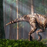 TRex in the Forest