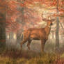 Fall Buck