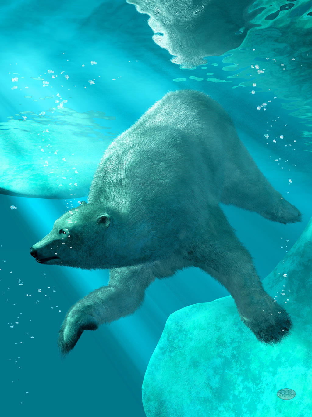 Polar Bear Underwater