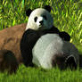 Reclining Panda