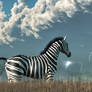 Zebra and Approaching Storm