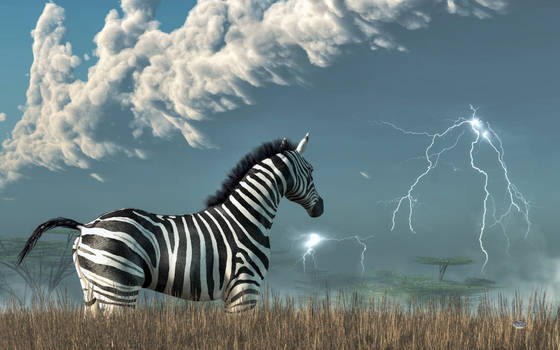Zebra and Approaching Storm