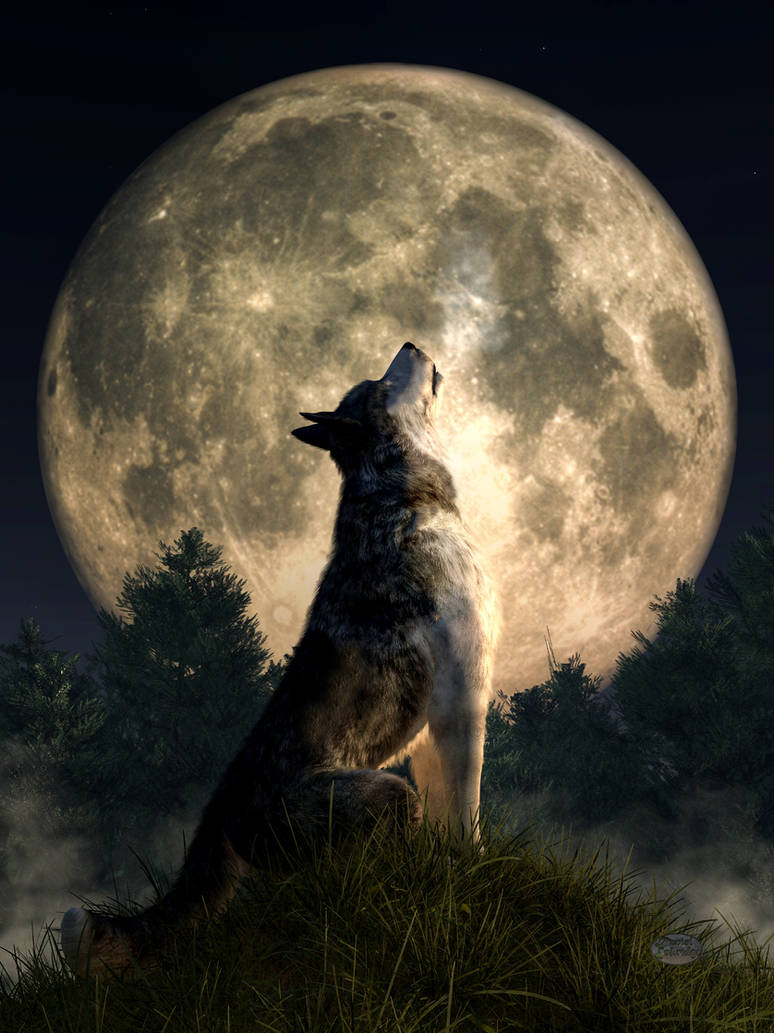 Волками воем на луну песня