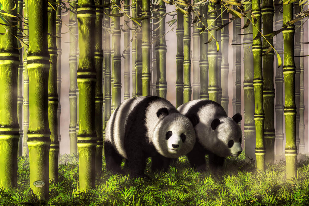 Pandas in a Bamboo Forest