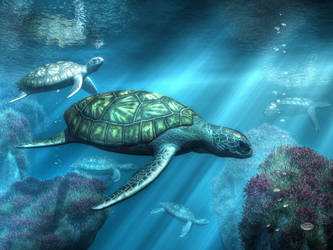 Sea Turtles by deskridge