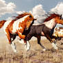 Galloping Mustangs