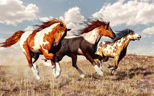 Galloping Mustangs