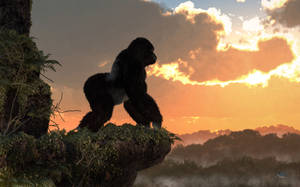 Gorilla Sunset by deskridge