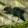 Allosaurus In A Forest