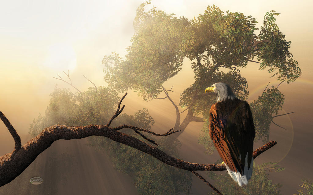 Eagle Dawn by deskridge