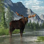 Bull Moose