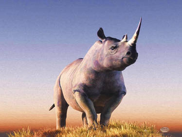 Explore the Best Rhino Art | DeviantArt