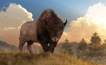 Buffalo Sunset by deskridge