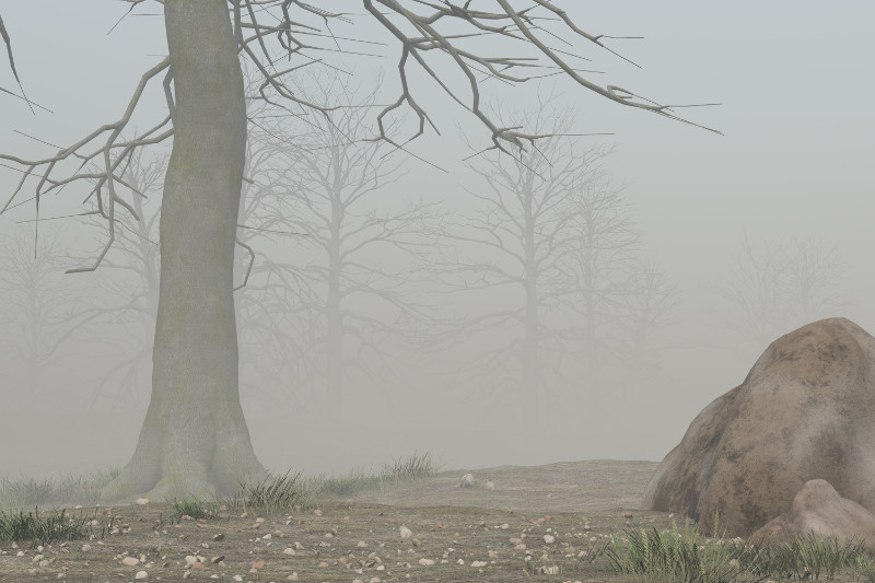 Foggy Trail