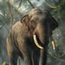 Jungle Elephant