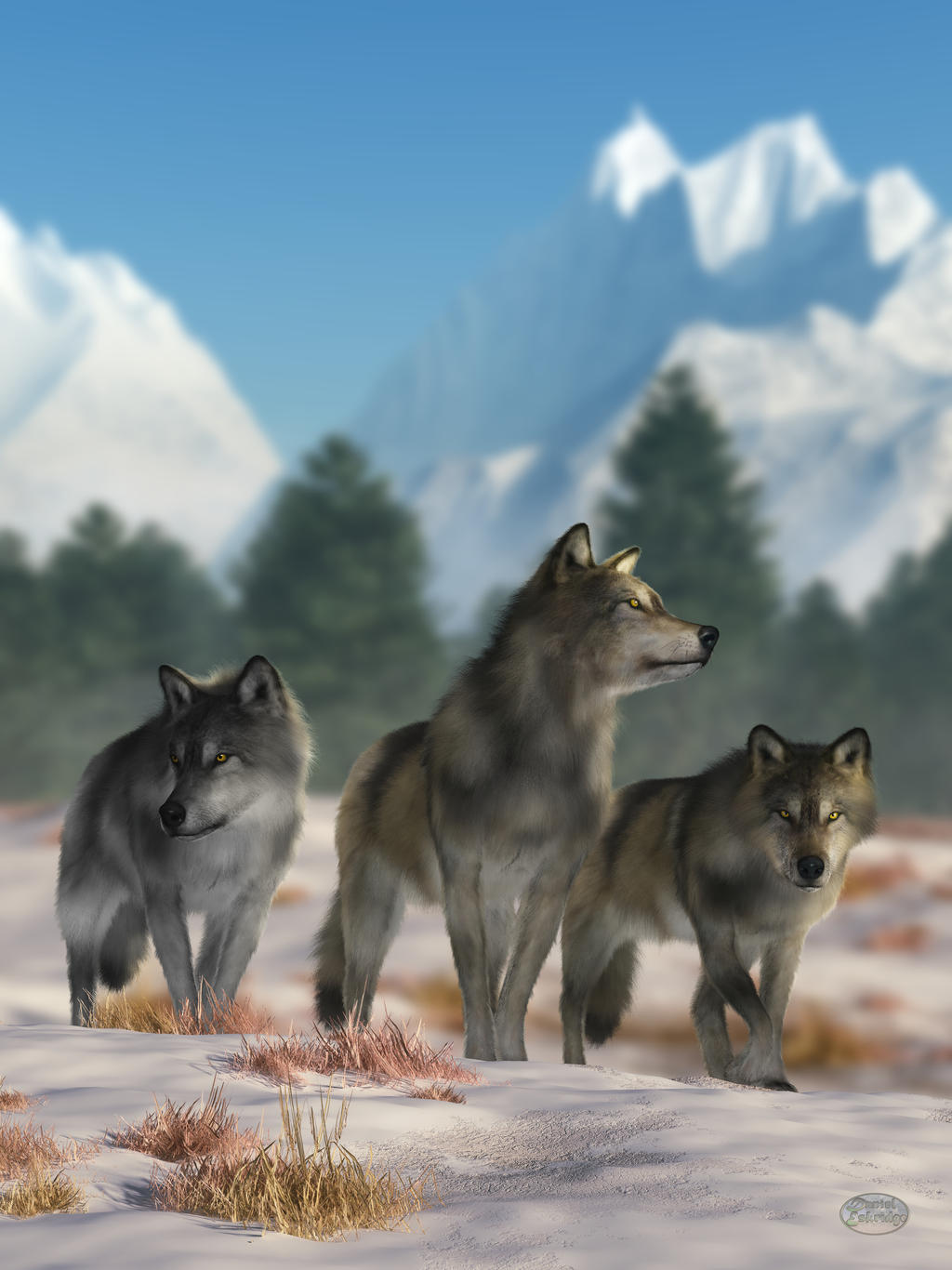 Three Wolves by deskridge on DeviantArt