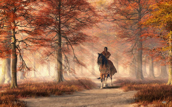 Riding on the Autumn Trail