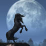 Dark Horse and Full Moon