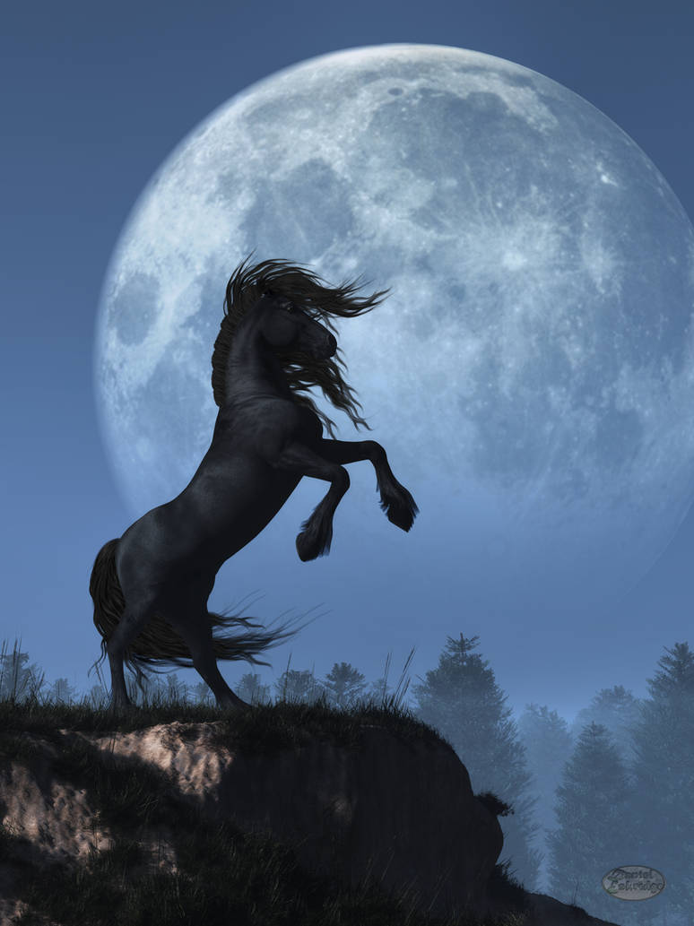 Сонник черная лошадь. Конь ночью. Вороной конь в ночи. Мистические кони. Лошади при Луне.