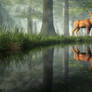 White Tailed Deer Reflected