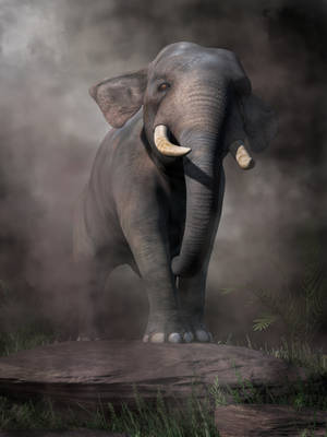 Elephant by deskridge