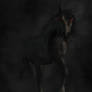 Nightmare