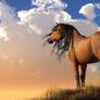 Chestnut Horse