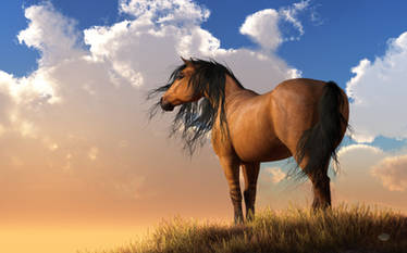 Chestnut Horse