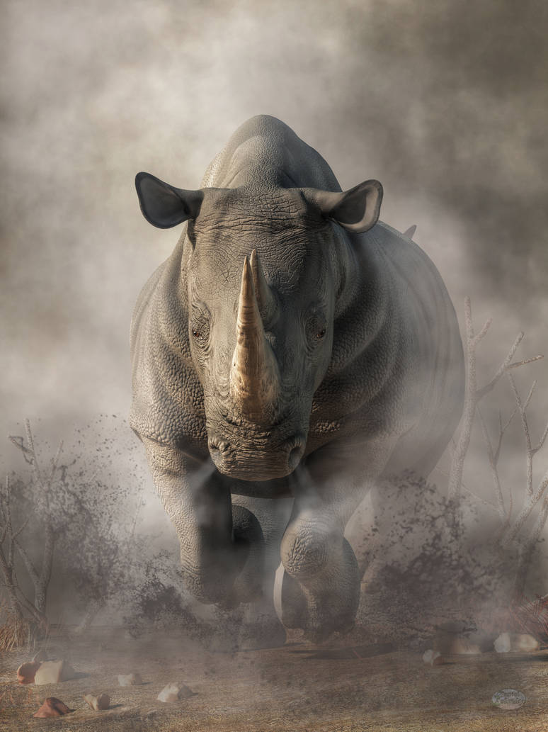 Charging Rhino by deskridge on DeviantArt