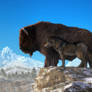 Buffalo and Wolf