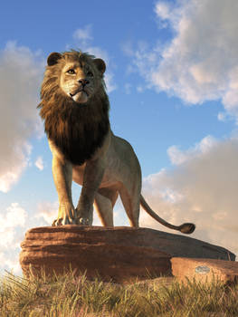 Lion - King of Beasts