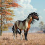 Paint Horses in Autumn