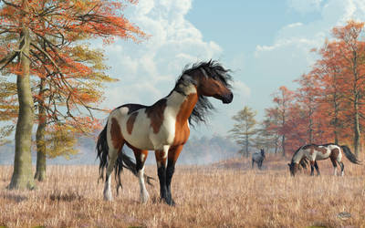 Paint Horses in Autumn
