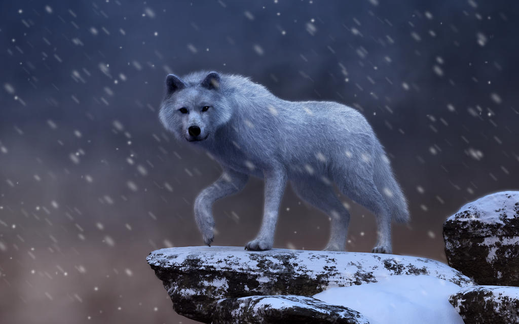 Spirit of the Blizzard by deskridge
