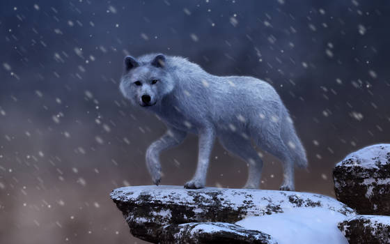 Spirit of the Blizzard by deskridge