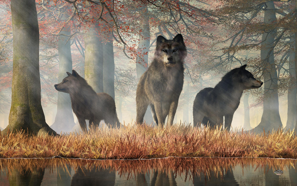 The Wolves of Autumn by deskridge The Wolves of Autumn by deskridge