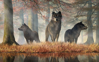 The Wolves of Autumn by deskridge