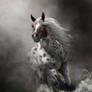 Appaloosa