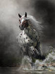 Appaloosa by deskridge Appaloosa by deskridge