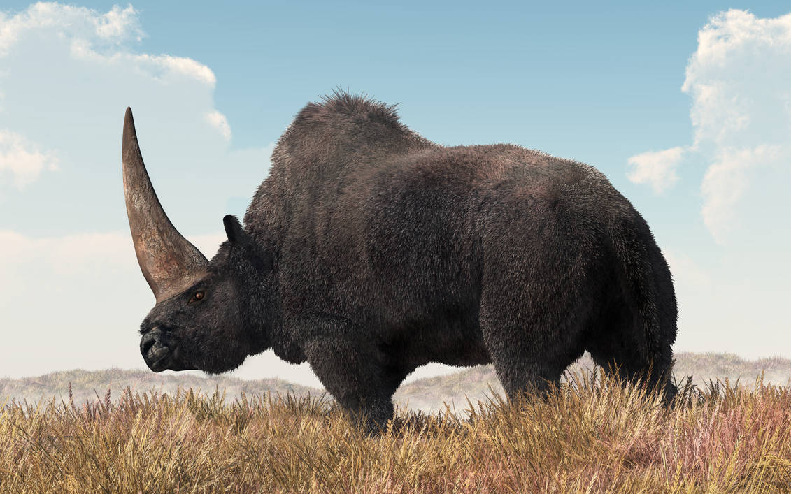 Elasmotherium by deskridge Elasmotherium by deskridge