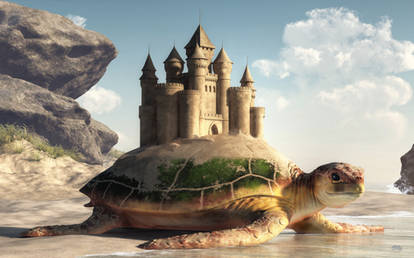 Sea Turtle, Sand Castle